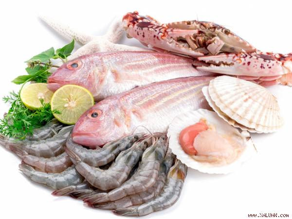 Ăn gì khi bị đau dạ dày?