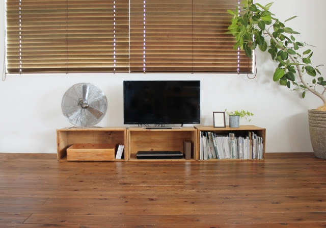 なに置く 観葉植物の選びかたガイド テレビ横編 Sombraverde