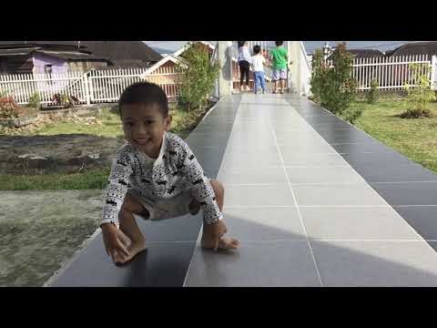 Mudik lagi