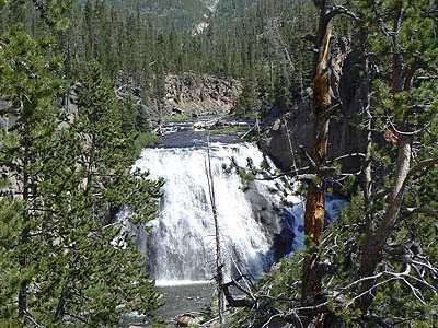 Gibbon river....jpg