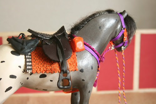 Fanta's Endurance Tack