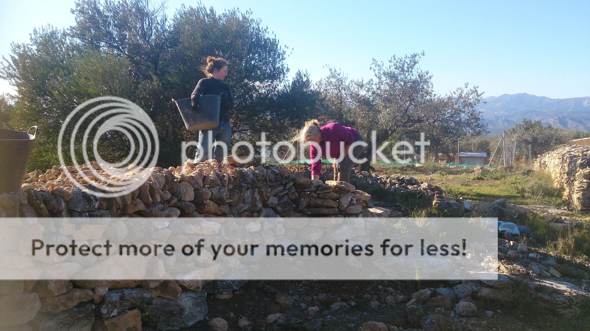  photo DSC_1953_zpsqaf5eu8v.jpg