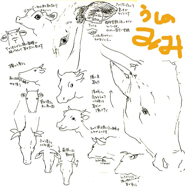 牛の描き方