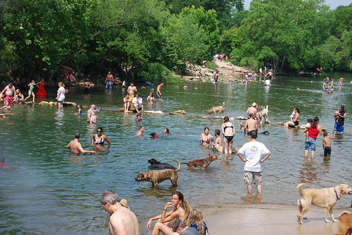 jslander's photostream (10967) · Zilker 
