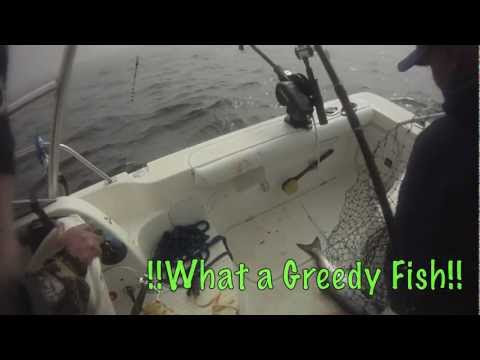 Deep  Fishing California on Deep Sea King Salmon Fishing In Northern California