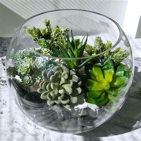 Hugging the ground, senecio serpens (blue. Winlyn 6 Pcs Unpotted Fake Succulents Assorted Faux