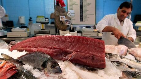 Europe Threatened Fish