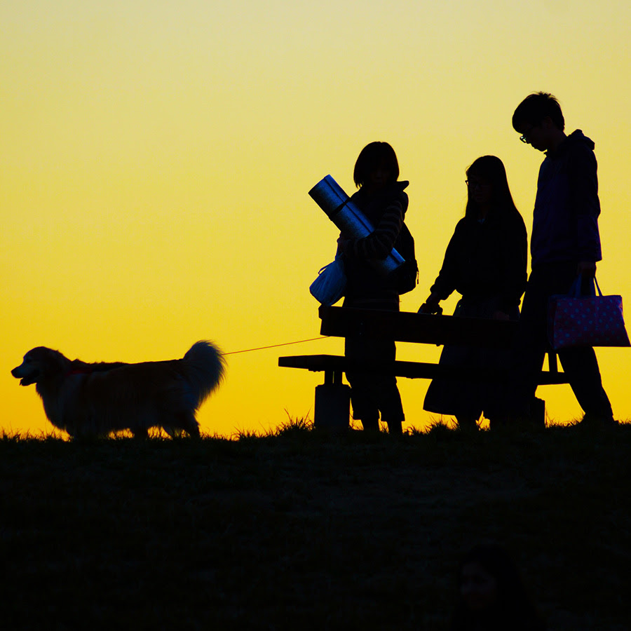 犬のしつけの基本は待てとよし しつけは英語 いつからはじめる