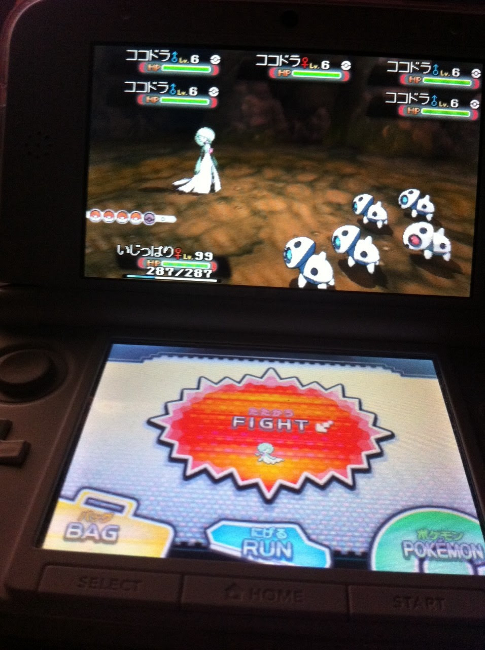 色違いに釘付け ココドラ Oras