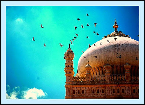 Tippu 01