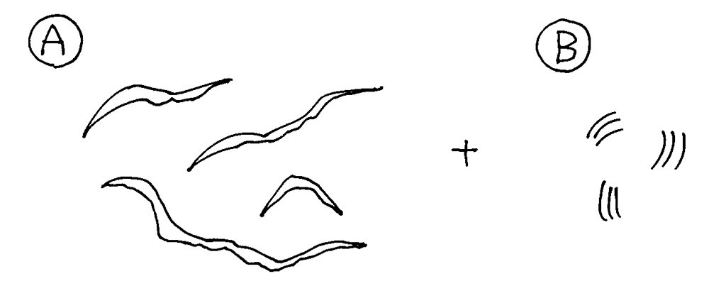 サラダの描き方