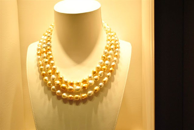 resized_DSC_1015