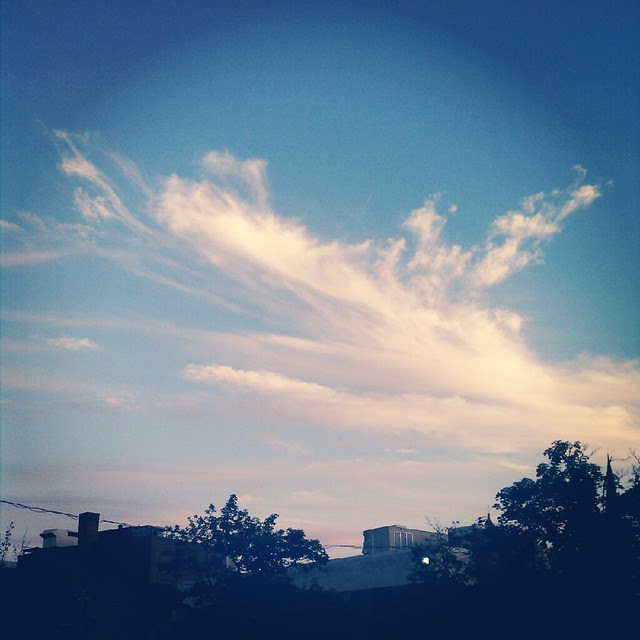 northampton sky