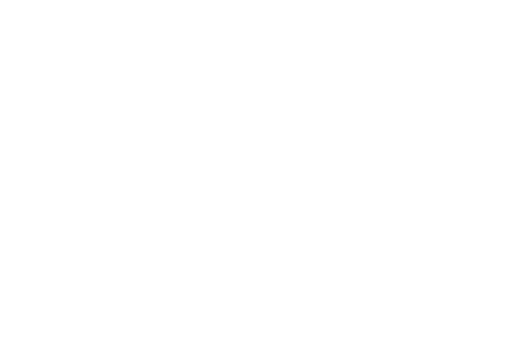 花 レース素材専門サイト Da Lace ダ レース