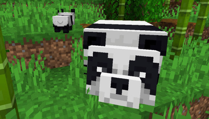 マインクラフト パンダの生息地域とパンダの性格 繁殖方法について調査 マイクラモール