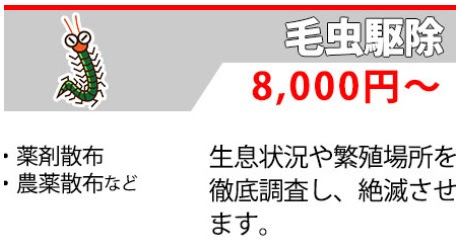 山口県 イラガの駆除 刺される前に退治する方法とは