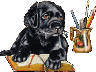tube chien