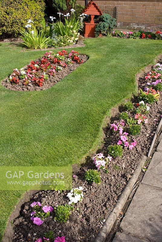 GAP Gardens - Front garden with bedding plants in narrow wavy border edging lawn and in island ... GAP Gardens - Front garden with bedding plants in narrow wavy border edging lawn and in island ... on Feature Plants For Front Garden
id=82253