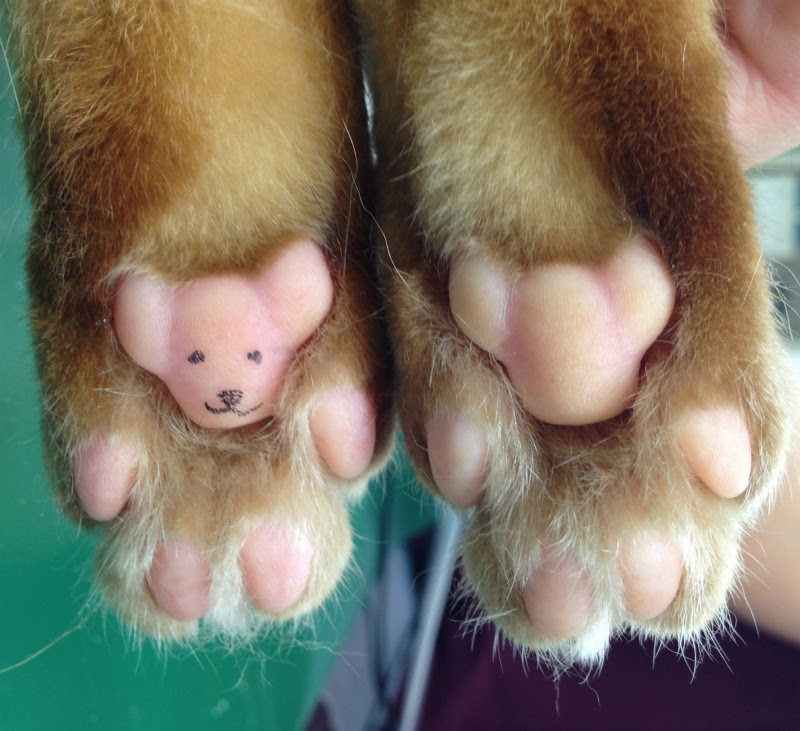 熱中症にご注意ください 猫の肉球とフジヤマプリン