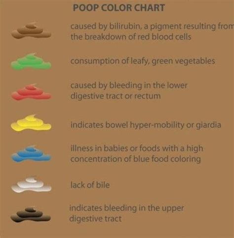  poop color chart nursing urine and stool pinterest colour chart