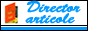 Director web care iti mareste traficul si iti imbunatateste pozitia in Google
