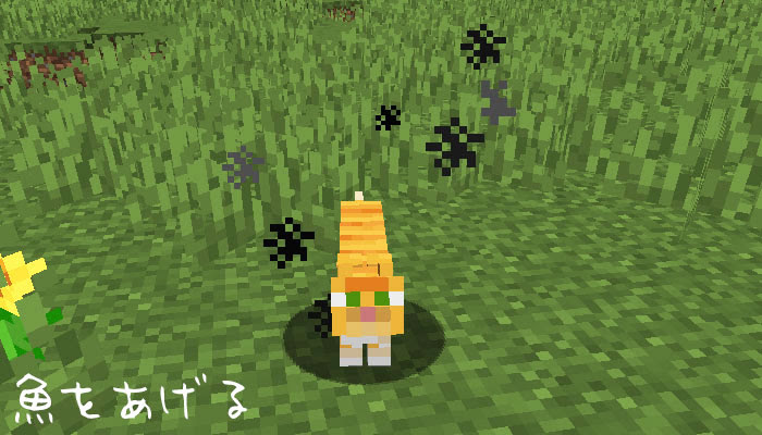 マイクラ 新ネコ登場 飼いならし方やヤマネコとの違いは マイクラモール