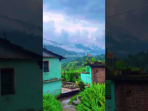 चित्र