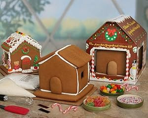 Amazon.com : Pre-assembled Gingerbread House Kit : Gourmet Food ...