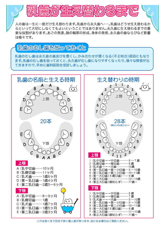 歯の生えかわり みよし歯科医院公式サイト 熊本県宇城市不知火町 歯科 小児歯科 矯正歯科 口腔外科