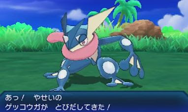 ウルトラサンムーンの島スキャンで御三家 初代 3 6世代 が解禁 ポケモン剣盾 ソードシールド 攻略 最新情報 Pokemon Times