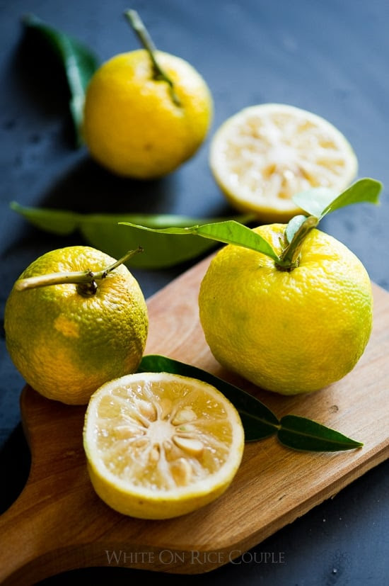 Yuzu citrus