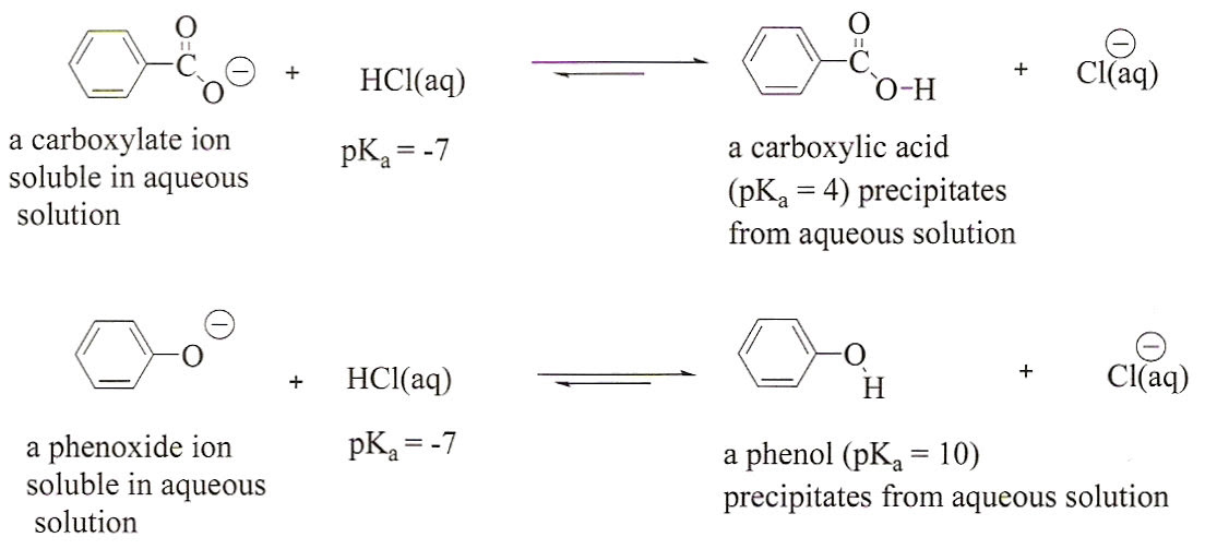 ️ Functional groups in benzocaine. Are benzoic acid ...