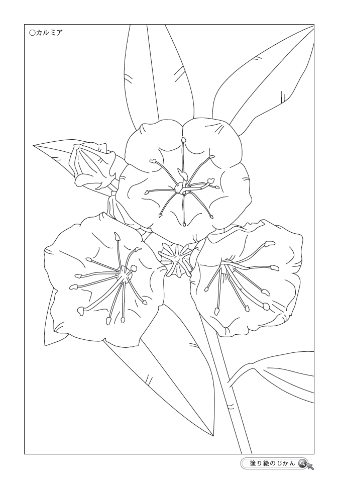 6月の花ぬりえ 塗り絵のじかん