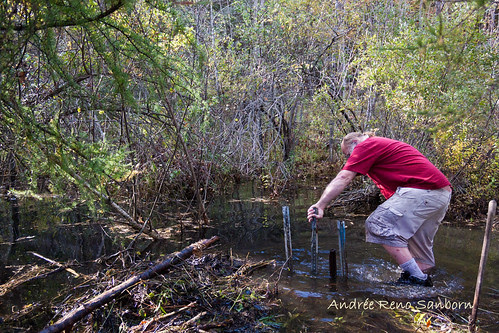 Clearing Out a New Beaver Dam  (8 of 9).jpg