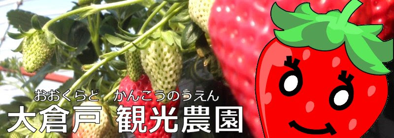 予約なしでいちご狩り 大倉戸観光農園