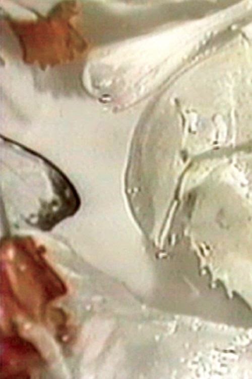 Official Watch Symptomatic Syntax Online 1981 For Free Free Streaming