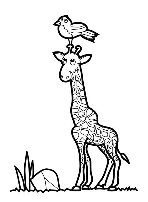 There are tons of great resources for free printable color pages online. free printable giraffe coloring pages for kids