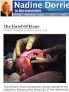 Nadine Dorries and the Hand of Hope – updated with response to ...