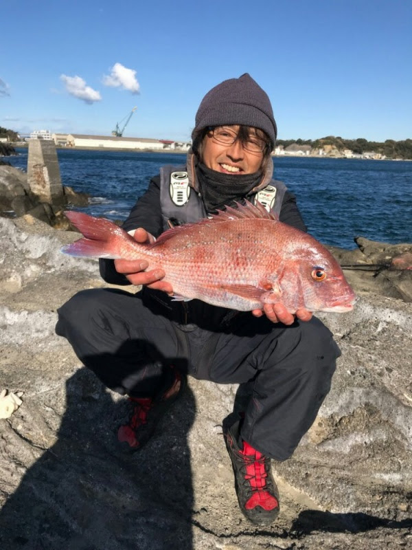 12月28日 木 昨日の釣果情報 三崎港 城ヶ島での釣りエサなら ばんだな 三浦市の釣具屋