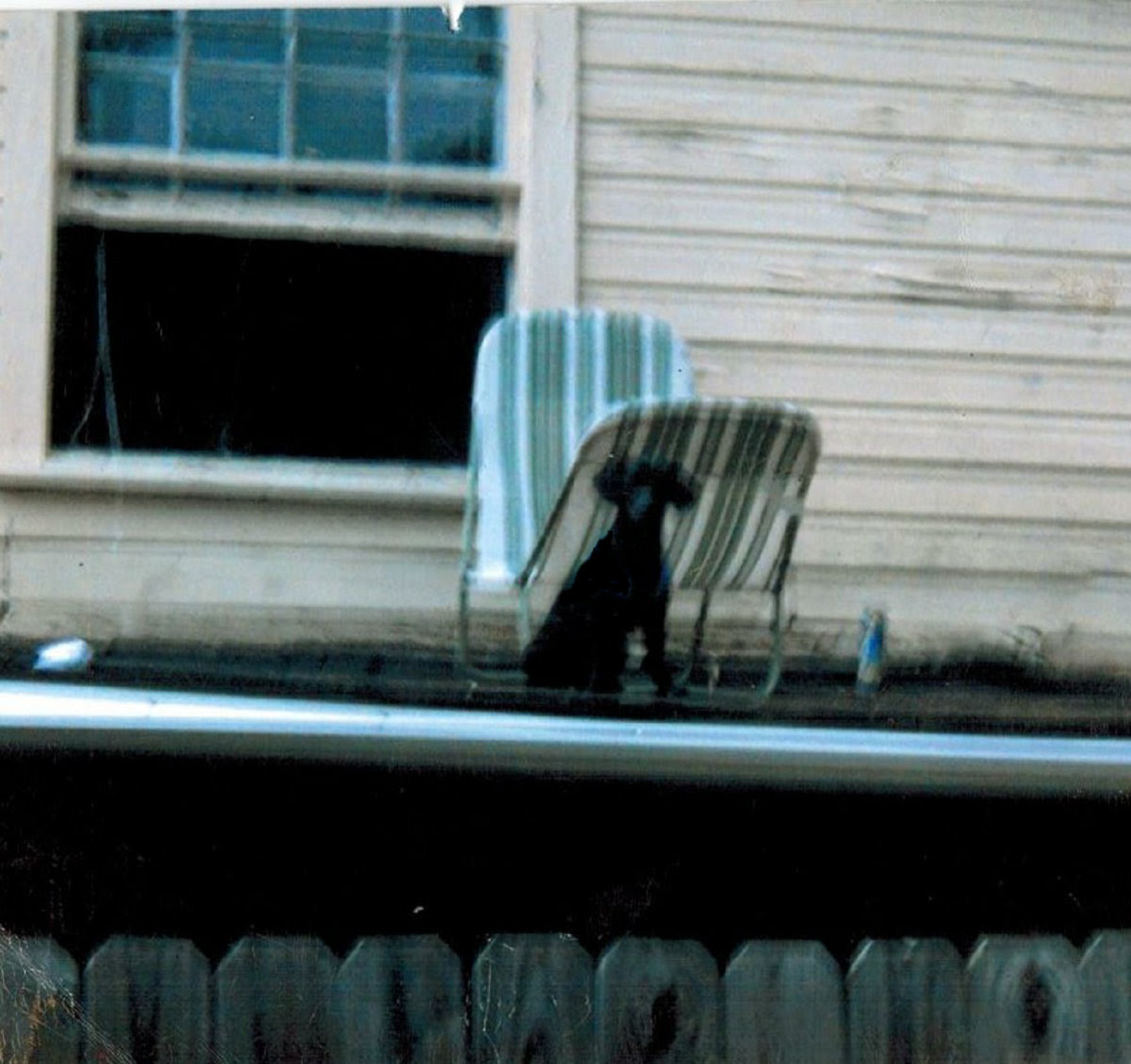Soda Lilies Sleep Reel 17 Sleep Like A Pillow