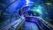 Konsep 26+ Harga Tiket Masuk SeaWorld