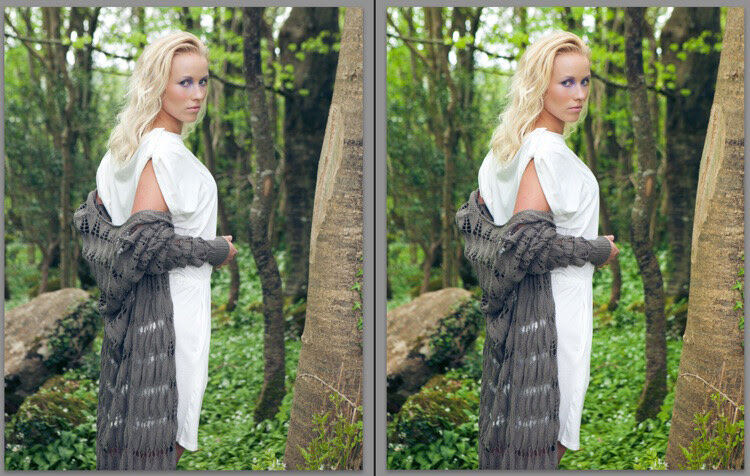 My 5 Favorite Lightroom Sliders