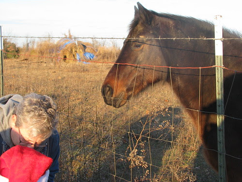 Christmas 2010 034