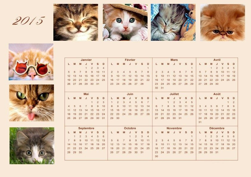 Calendrier Annuel 15 Theme Chat