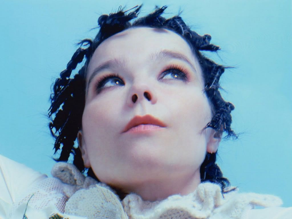bjork desktop