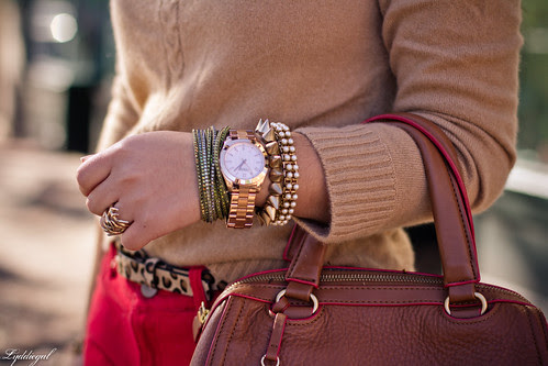 camel + red-2.jpg