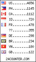 visitors by country counter