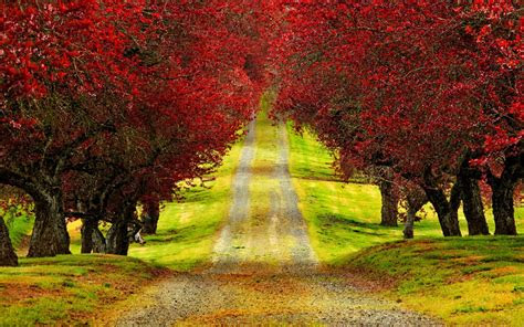 hd nature wallpapers  mobile wallpaper cave