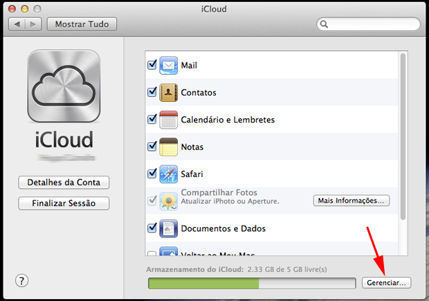 Tela de gerência do iCloud (Foto: Reprodução/Hugo Carvalho)