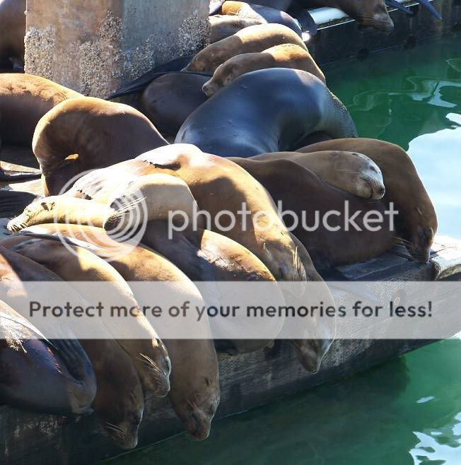 conserve